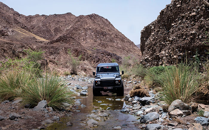 Mountain & Desert Safari