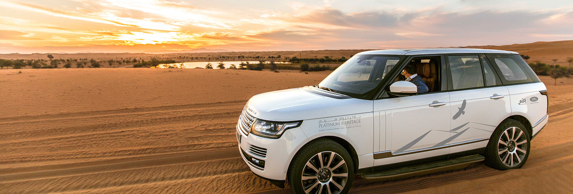 Conservation Drive & Breakfast at Al Maha