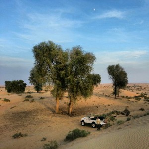 Eco-friendly Desert Safaris