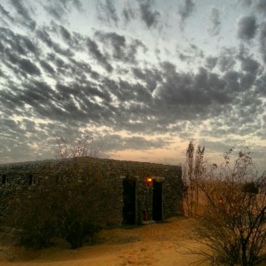 Eco-friendly Desert Safaris