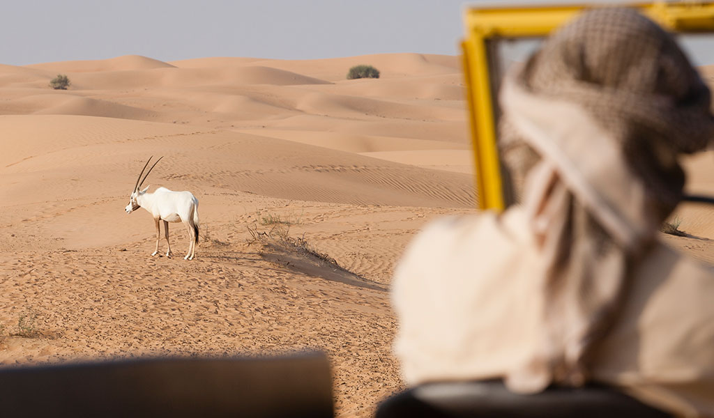 8 Dubai Desert Safari Myths