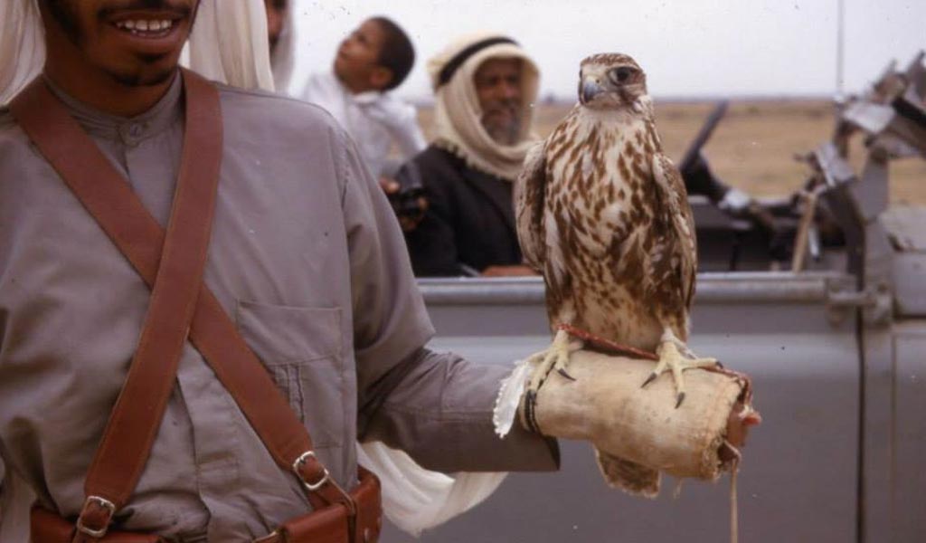 Dubai for History Buffs