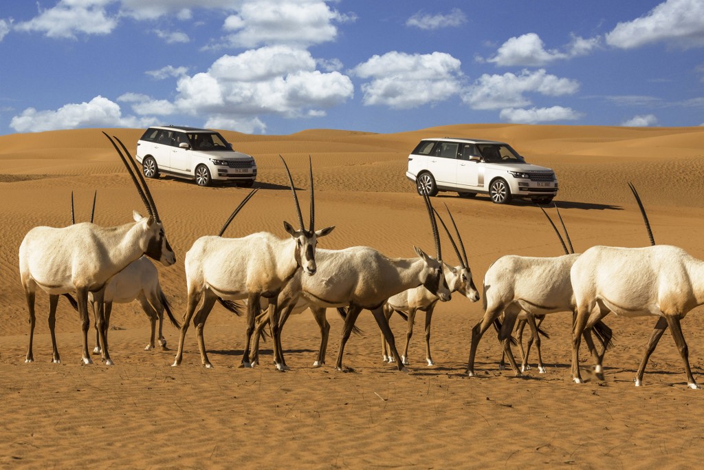 Land Rover joins Platinum Heritage Dubai as Official Adventure Partner in U.A.E.