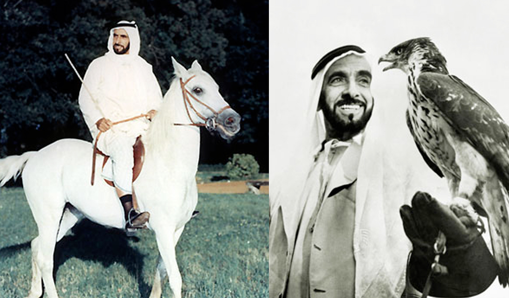 Sheikh Zayed Efforts to Conserve Arabian Oryx