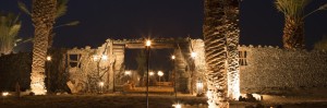 Luxury and Authentic Desert Safari