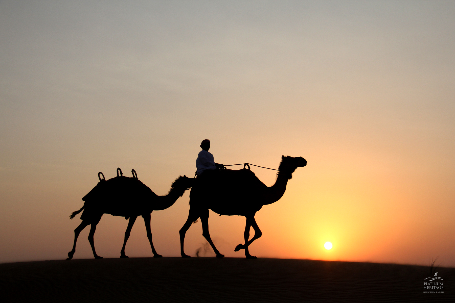 A Camel Safari – A Must Do Desert Safari in Dubai