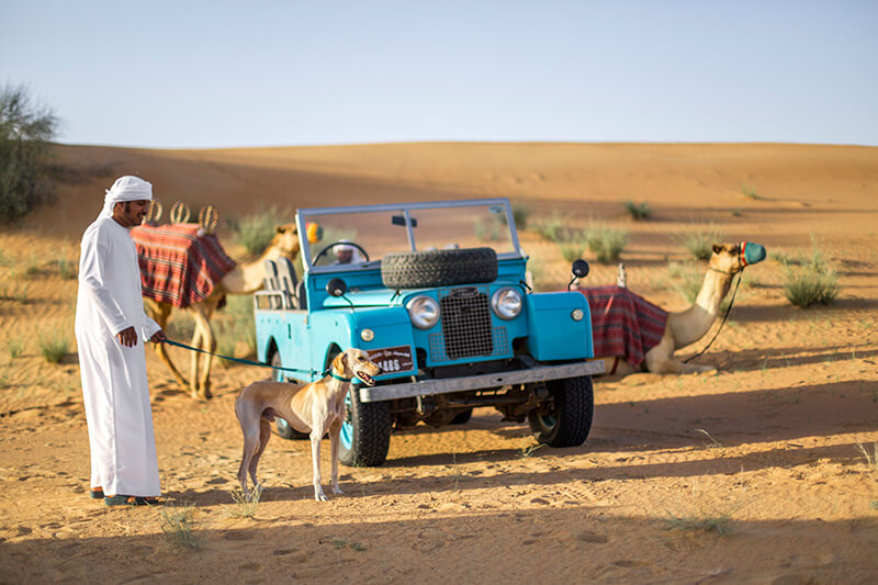 Why Platinum Heritage Desert Safaris Are Different