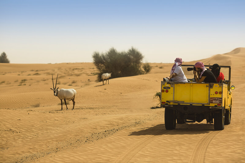 The Most Photogenic Cars in Dubai