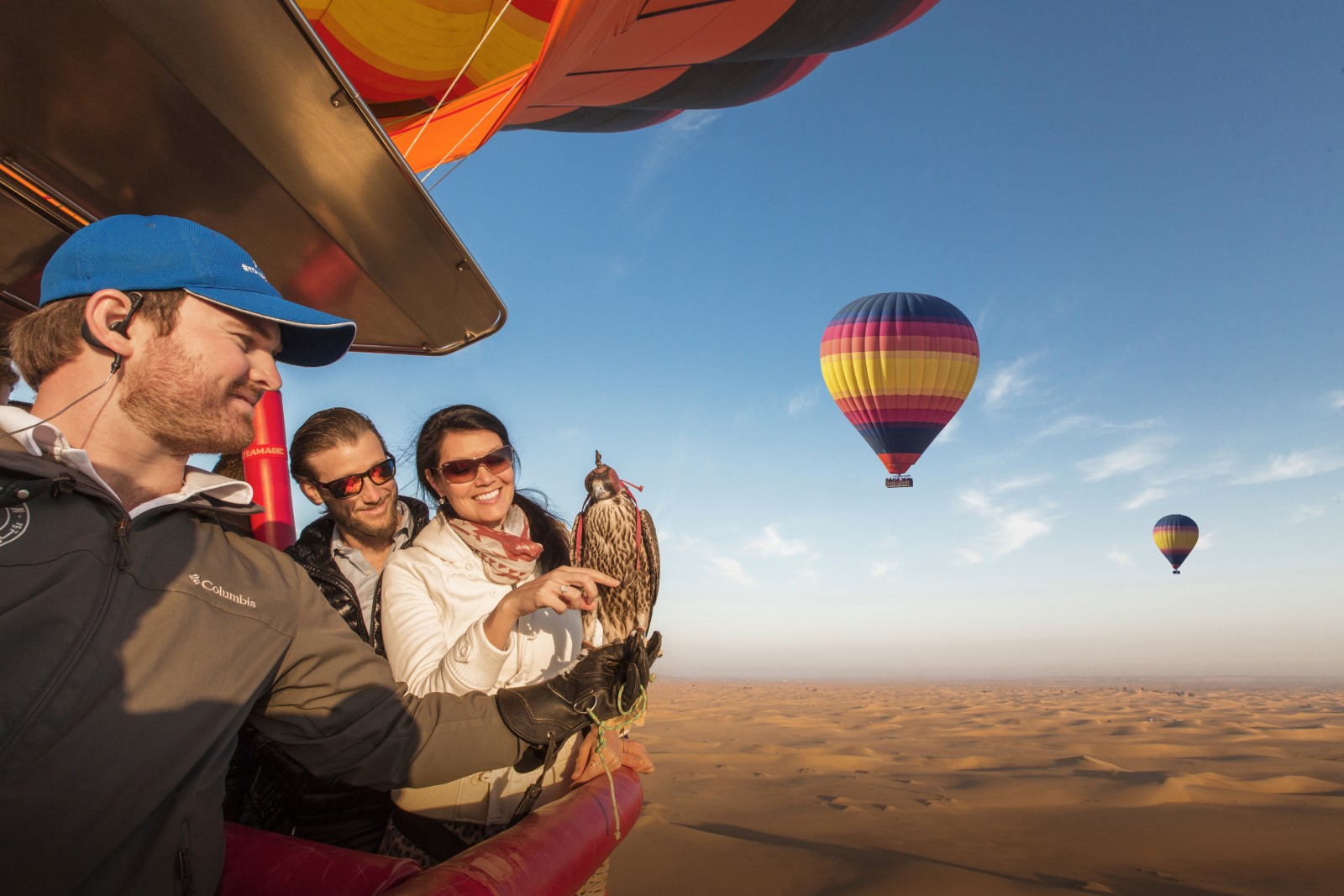 Ethical Falcon Shows in Dubai